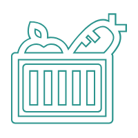 Fruits and Vegetables